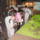 Activities Highlight 1
