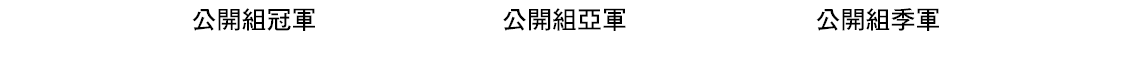 公開組季軍,公開組亞軍,公開組冠